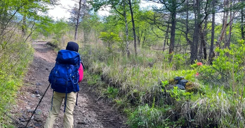 Best Outdoor Adventures in Barstow: Hiking Trails & Nature Escapes
